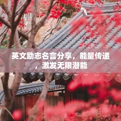 英文励志名言分享,能量传递,激发无限潜能