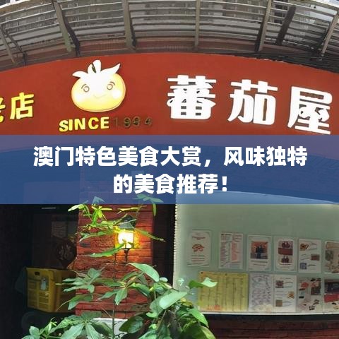 澳门特色美食大赏,风味独特的美食推荐!