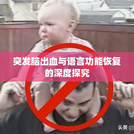突发脑出血与语言功能恢复的深度探究