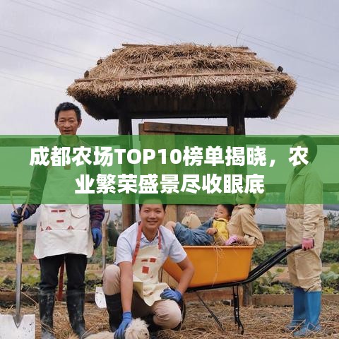 成都农场TOP10榜单揭晓，农业繁荣盛景尽收眼底