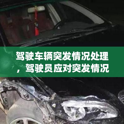 驾驶车辆突发情况处理,驾驶员应对突发情况