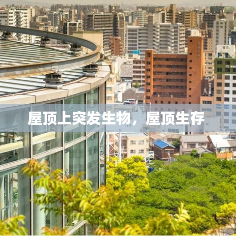 屋顶上突发生物，屋顶生存 