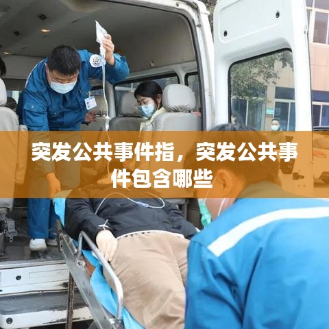 突发公共事件指，突发公共事件包含哪些 