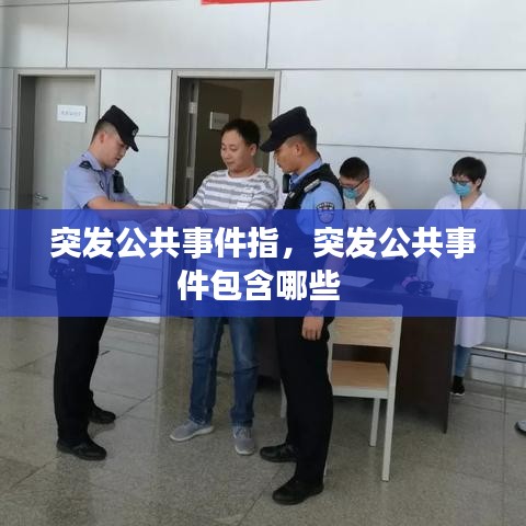 突发公共事件指,突发公共事件包含哪些