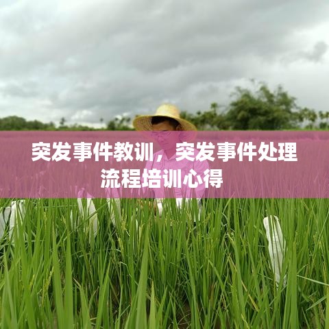 突发事件教训,突发事件处理流程培训心得