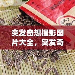突发奇想摄影图片大全，突发奇想电影 