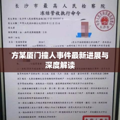 方某厦门撞人事件最新进展与深度解读