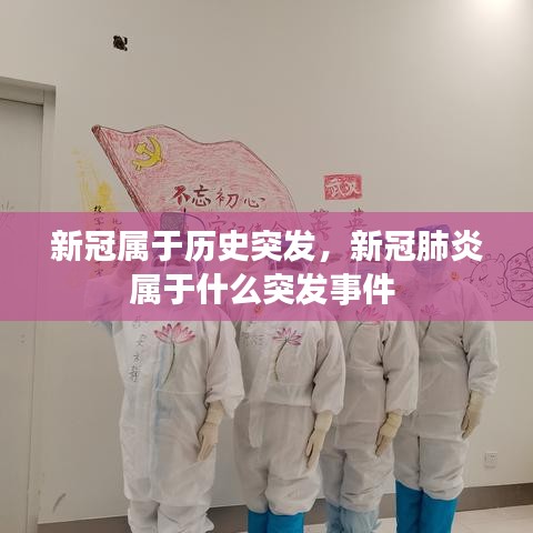 新冠属于历史突发,新冠肺炎属于什么突发事件