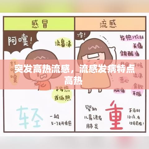 突发高热流感，流感发病特点高热 