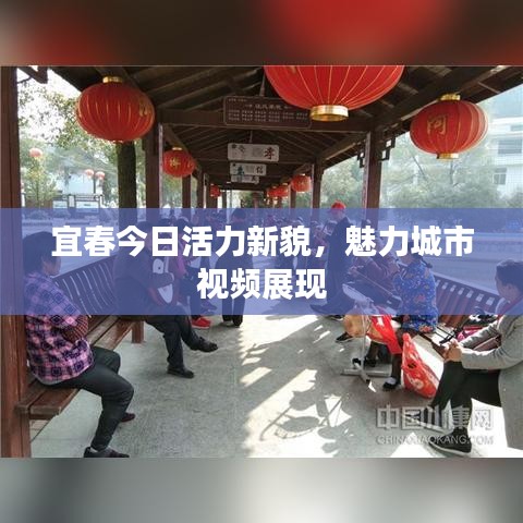 宜春今日活力新貌，魅力城市视频展现