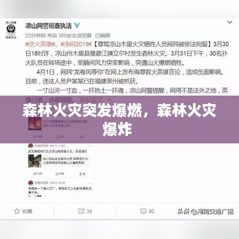 森林火灾突发爆燃，森林火灾爆炸 