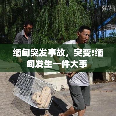 缅甸突发事故，突变!缅甸发生一件大事 
