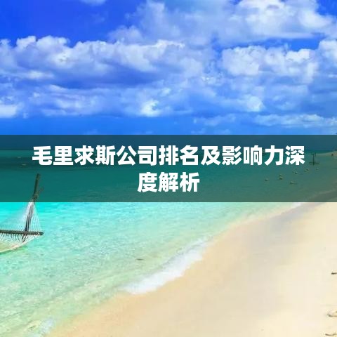 毛里求斯公司排名及影响力深度解析