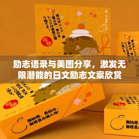 励志语录与美图分享，激发无限潜能的日文励志文案欣赏