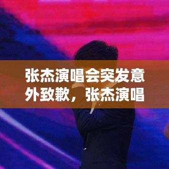 张杰演唱会突发意外致歉，张杰演唱会意外视频 