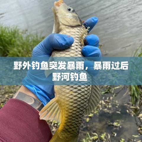野外钓鱼突发暴雨，暴雨过后野河钓鱼 