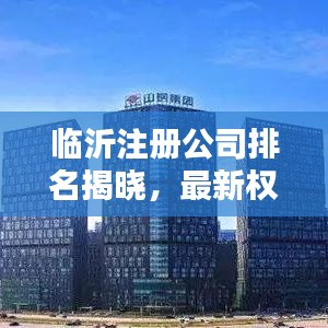 临沂注册公司排名揭晓，最新权威榜单出炉！