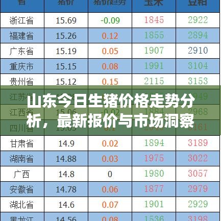 山东今日生猪价格走势分析，最新报价与市场洞察
