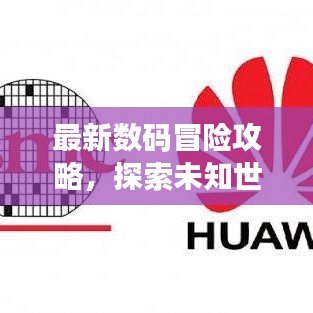 组织架构 第75页