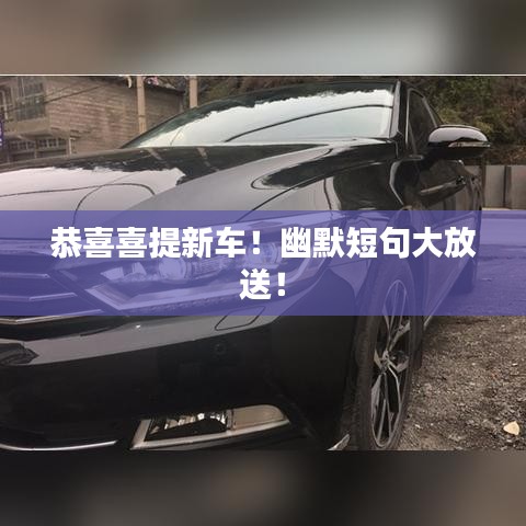 恭喜喜提新车！幽默短句大放送！