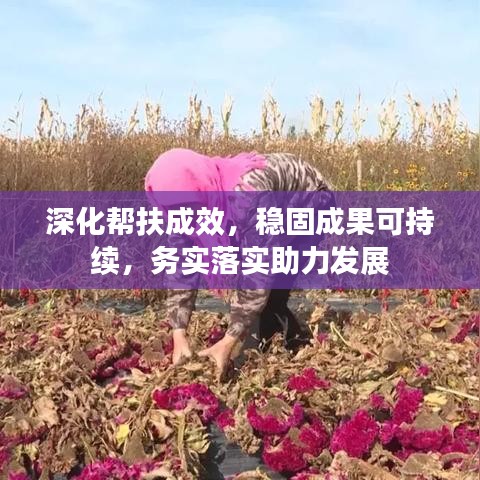 深化帮扶成效，稳固成果可持续，务实落实助力发展