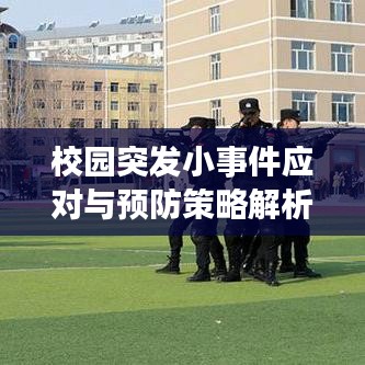 校园突发小事件应对与预防策略解析