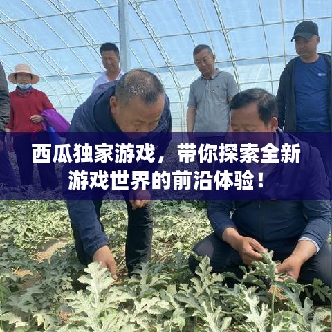 西瓜独家游戏,带你探索全新游戏世界的前沿体验!