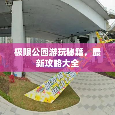 极限公园游玩秘籍，最新攻略大全