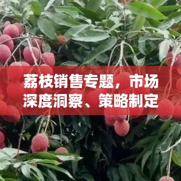 荔枝销售专题,市场深度洞察、策略制定及未来趋势展望