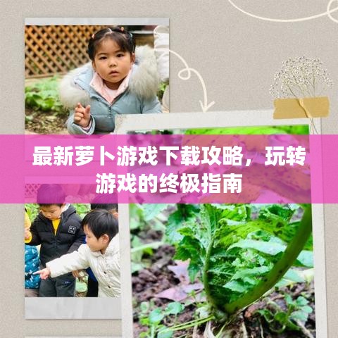最新萝卜游戏下载攻略，玩转游戏的终极指南
