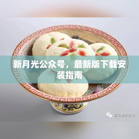 新月光公众号，最新版下载安装指南