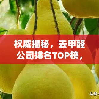 权威揭秘，去甲醛公司排名TOP榜，专业治理甲醛污染！
