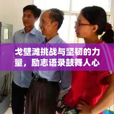 戈壁滩挑战与坚韧的力量，励志语录鼓舞人心