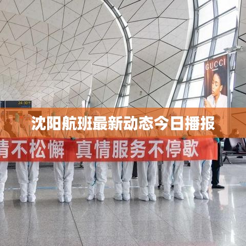 碧瓦飞甍 第7页