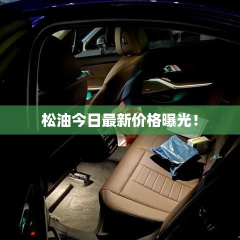松油今日最新价格曝光!