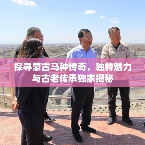 探寻蒙古马种传奇，独特魅力与古老传承独家揭秘