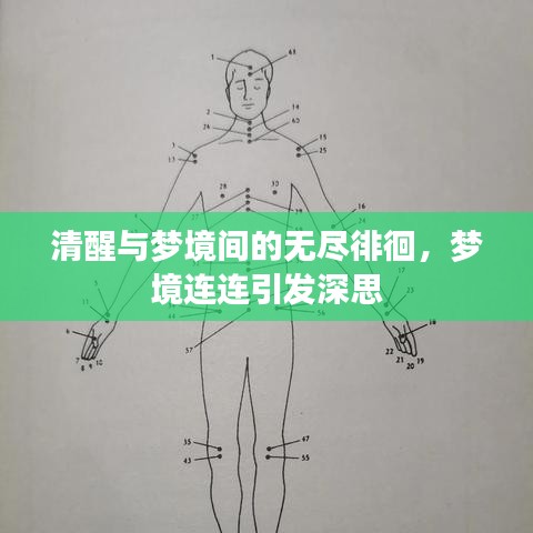 清醒与梦境间的无尽徘徊,梦境连连引发深思