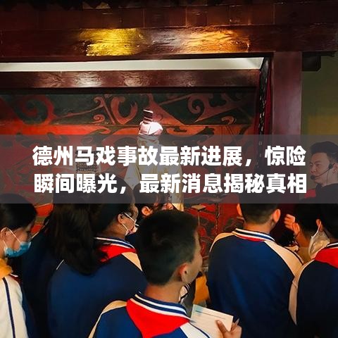德州马戏事故最新进展，惊险瞬间曝光，最新消息揭秘真相！