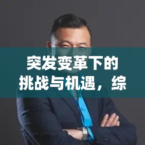 突发变革下的挑战与机遇，综合评价与应对策略