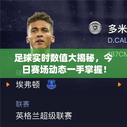 足球实时数值大揭秘,今日赛场动态一手掌握!