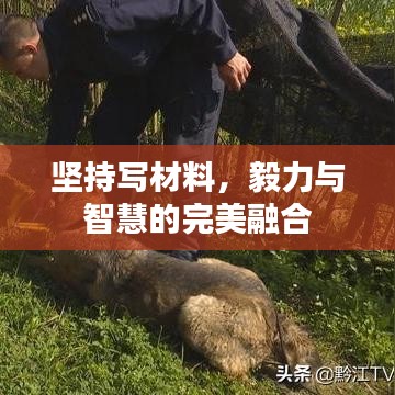 坚持写材料，毅力与智慧的完美融合