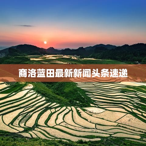 商洛蓝田最新新闻头条速递