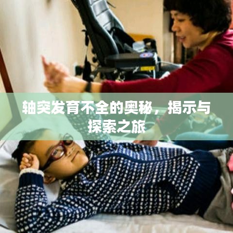 轴突发育不全的奥秘,揭示与探索之旅