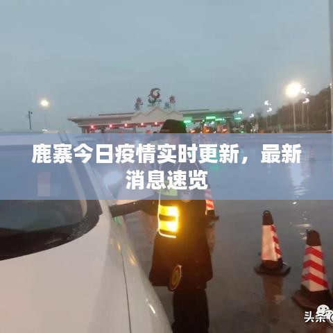 鹿寨今日疫情实时更新,最新消息速览