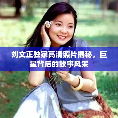 刘文正独家高清照片揭秘，巨星背后的故事风采