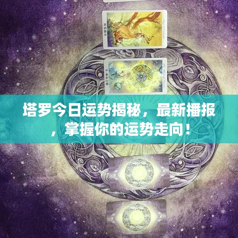 塔罗今日运势揭秘,最新播报,掌握你的运势走向!