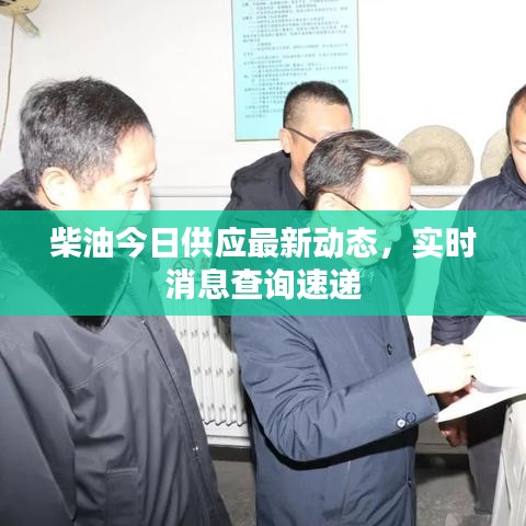 柴油今日供应最新动态，实时消息查询速递