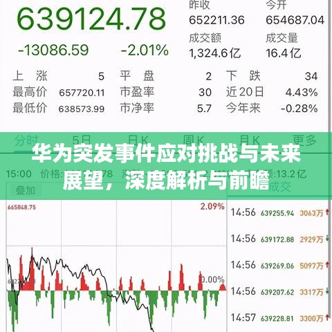 华为突发事件应对挑战与未来展望，深度解析与前瞻