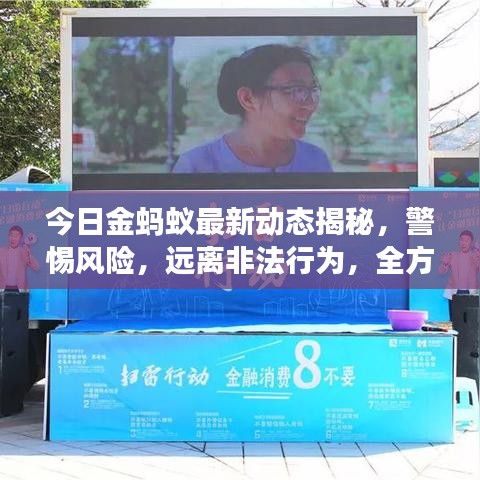 今日金蚂蚁最新动态揭秘,警惕风险,远离非法行为,全方位解读消息查询