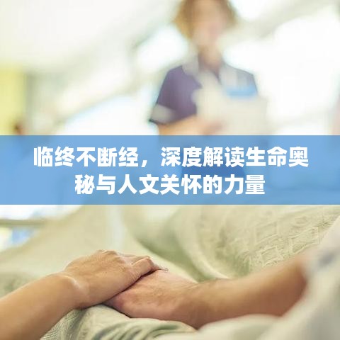 临终不断经，深度解读生命奥秘与人文关怀的力量